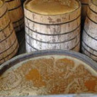 Fermentation1