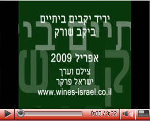יריד יקבים ביתיים ביקב שורק
