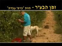 הבציר בנגב – חוות כרמי עבדת